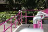 DDA Assist Handrail System - Powder Coated